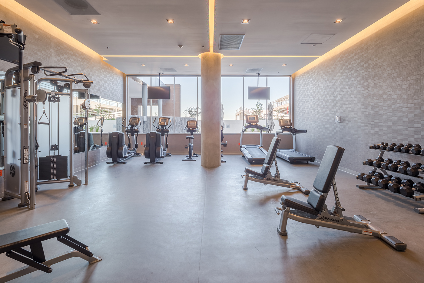 Gimnasio1